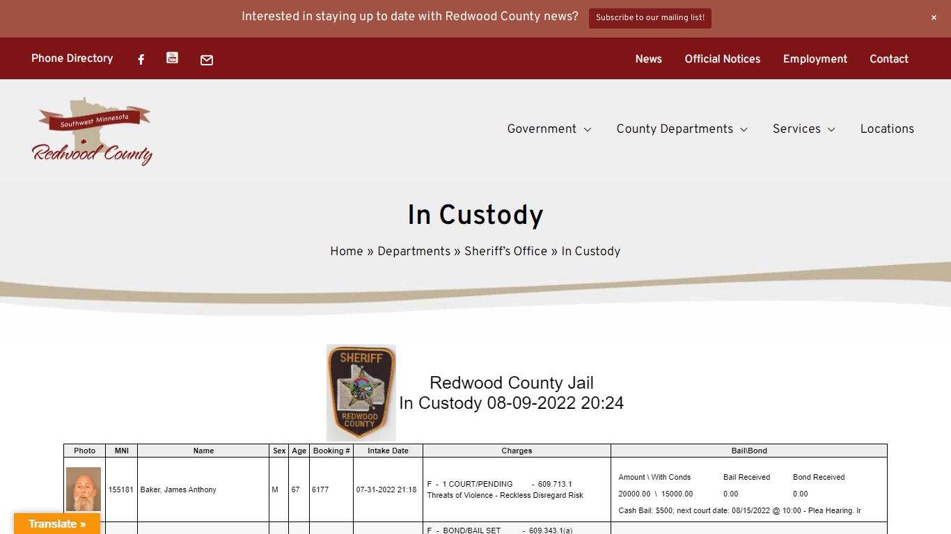 In Custody - Redwood County, MN